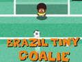 Trò chơi Brazil Thủ Môn Nhỏ trực tuyến
