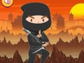 Trò chơi Câu đố Ninja Đã Được Đào Tạo trực tuyến