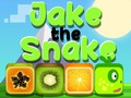 Trò chơi Jake Con Rắn trực tuyến