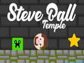 Trò chơi Đền Steve Ball trực tuyến