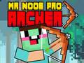 Trò chơi Ông Noob Pro Cung Thủ trực tuyến