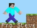 Trò chơi Pro Steve trực tuyến