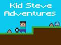 Trò chơi Cuộc Phiêu Lưu của Kid Steve trực tuyến