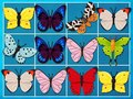 Trò chơi Vua Mahjong trực tuyến
