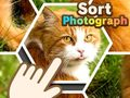 Trò chơi Sắp xếp ảnh trực tuyến
