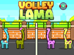 Trò chơi Volley Lama trực tuyến