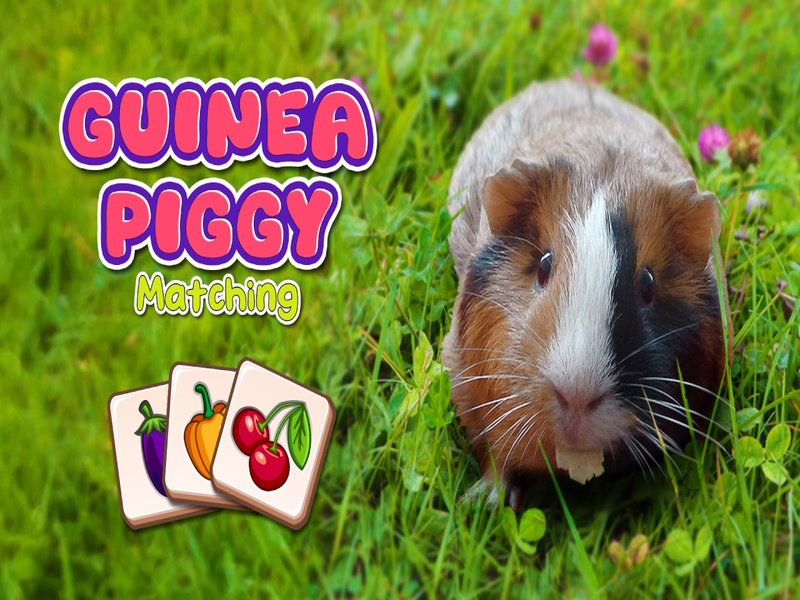 Trò chơi Guinea Piggy phù hợp trực tuyến