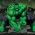 Hulk Hulk trực tuyến